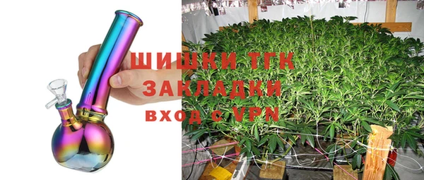 ГАЛЛЮЦИНОГЕННЫЕ ГРИБЫ Пересвет