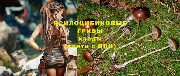 молекула духа Беломорск