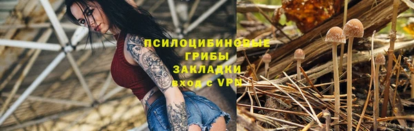 дживик Пестово